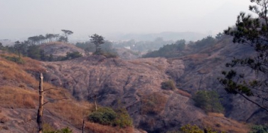 追隨艾肯，走進(jìn)白堊紀(jì)（二）