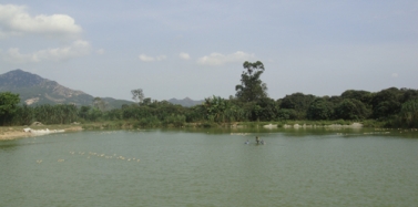 【福建】福建漳浦萬安項目策劃規(guī)劃合同簽訂及前期考察結(jié)束