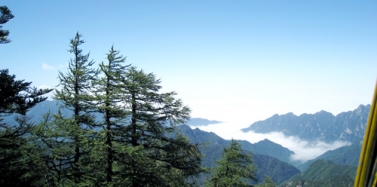 【陜西】太白山國(guó)際旅游度假區(qū)項(xiàng)目前期匯報(bào)圓滿結(jié)束