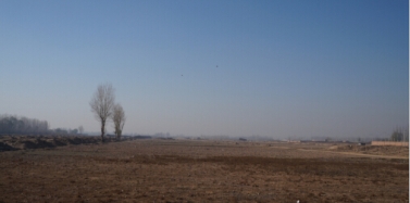 【內(nèi)蒙古】內(nèi)蒙古巴美肉羊項目前期考察順利結束