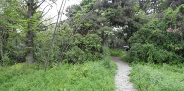 【江蘇】揚(yáng)州市瓜州鎮(zhèn)旅游發(fā)展項目前期市場調(diào)研順利結(jié)束