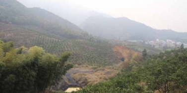 【江西】西海天堂國(guó)際旅游度假中心項(xiàng)目前期考察順利結(jié)束