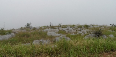 【河南】河南淅川項(xiàng)目總體策劃合同簽訂