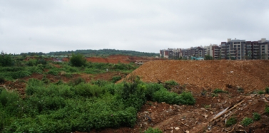 【云南】云南花腰山寨項目前期考察順利結(jié)束