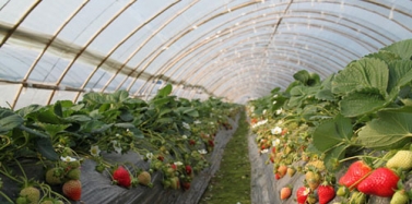 【山東】山東青島藏馬山項目中期匯報順利結(jié)束