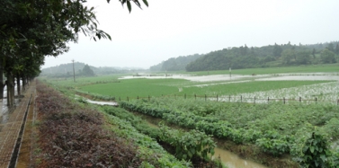 【江西】江西仙女湖主題公園項(xiàng)目前期考察順利結(jié)束