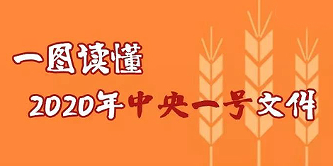 一圖讀懂《2020中央一號文件》